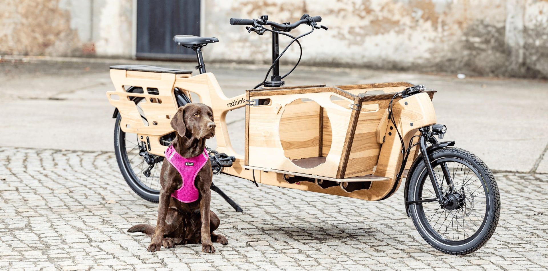 Hund neben dem geparkten Lastenrad
